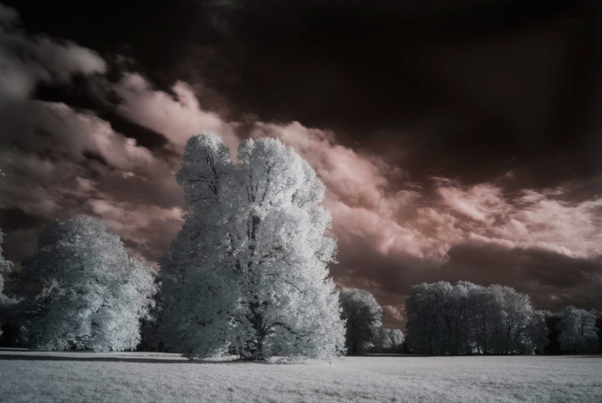 Panorama im Branitzer Park