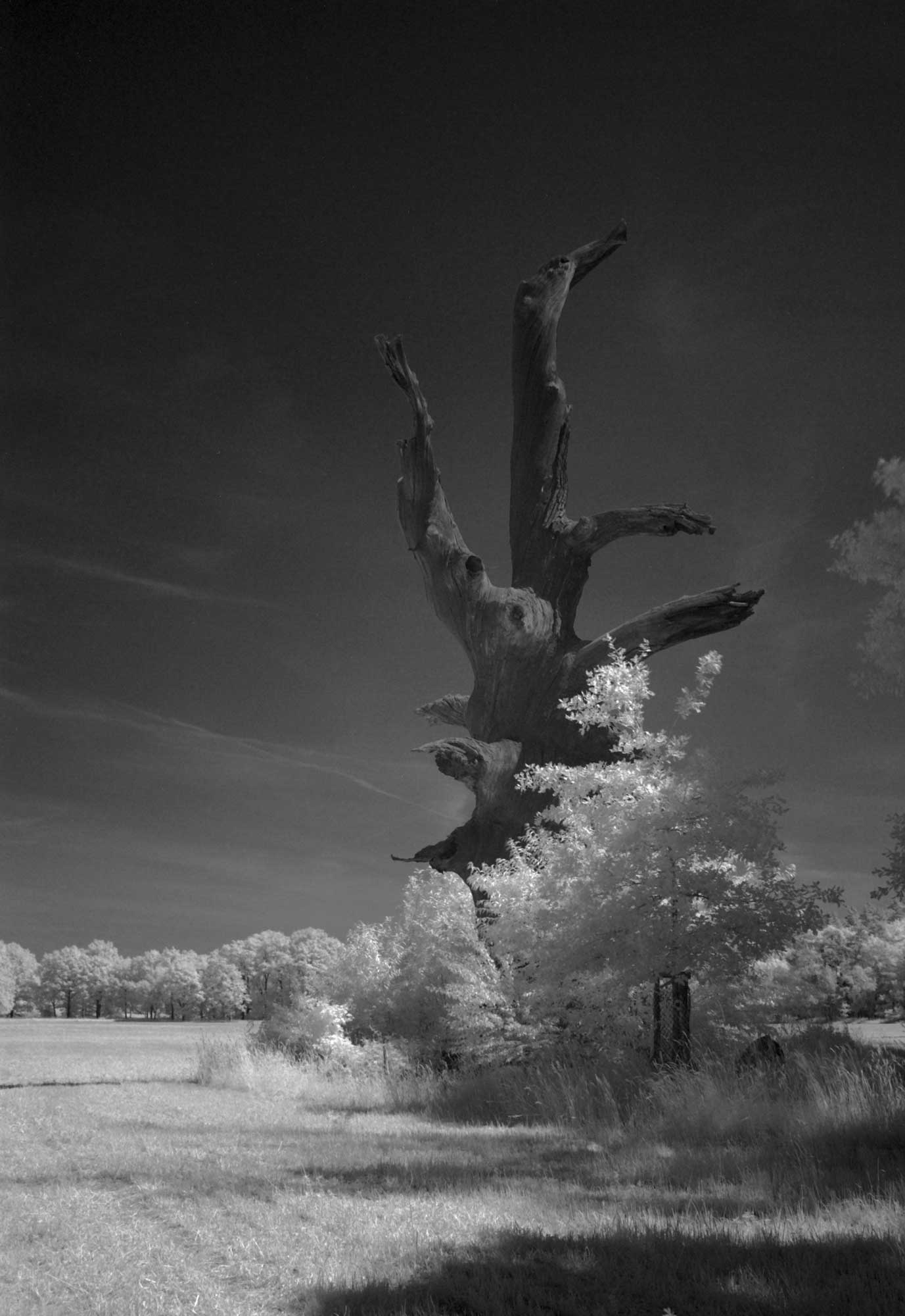 Im Byttnahain - Straupitz